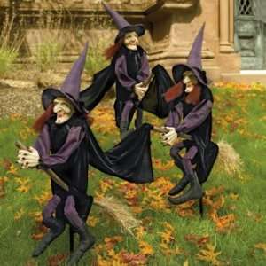  Set of Three Staked Halloween Witches   Grandin Road