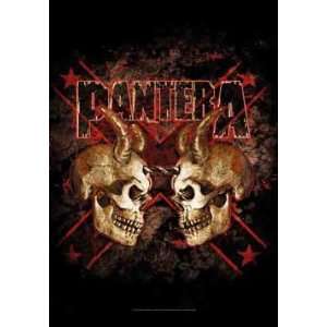  Pantera ~ Double Skull ~ 30x40 ~ Cloth Fabric Poster Flag 