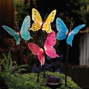   Butterfly Garden Stake Lights by Collections Etc Patio, Lawn & Garden