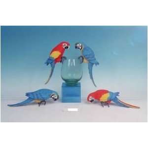    MRC COMPANY 922 01406 Resin Macaw Red 13in each
