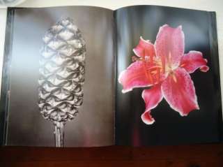 GRANDIFLORA GARY HEERY SASKIA HAVEKES LARGE FLOWERS SCARCE HARDBACK DJ 