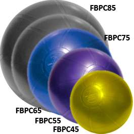 Fitter Duraball Pro Exercise Ball Blue 65 cm FREE S&H  