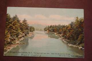 Bridge In The Catskills Basin, NY. Old Vintage Postcard  