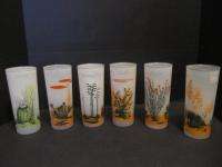 oil arizona cactus tumblers frosted juice glasses set of 6