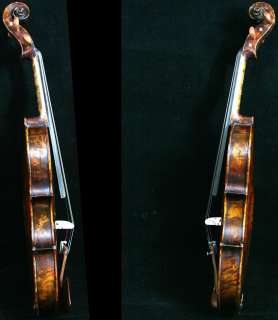 BIRD EYES Copy Strad Violin #0222 PRO Warm Tone  