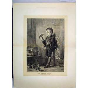  Little Boy Singing Bird 1873 Cage Whistle Music Print 