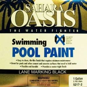  Swimming Pool Paint   Black   One Gallon