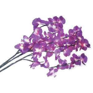  Kikkerland 3 Stem Light Up Purple Orchid Bouquet