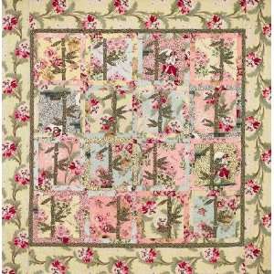  Empress Woo Quilt Kit   Top Only By The Each Arts, Crafts 