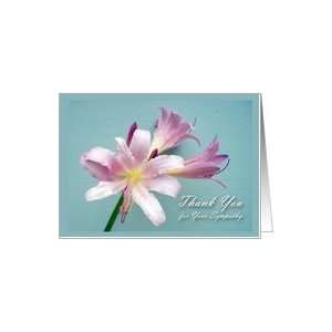  Thank You for Sympathy, Resurrection Lily Flower Card 