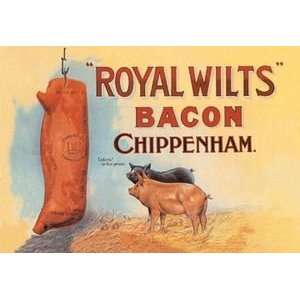  Royal Wilts Bacon   Paper Poster (18.75 x 28.5) Sports 