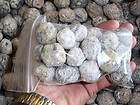 wholesale bag baby tranca geodes with crystal centers expedited 