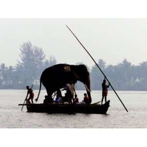  An Elephant is Taken on a Small Boat to a Temple Festival 