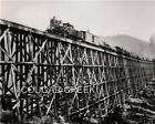 1890S HUGE STEAM TRACTOR WAGON TRAIN LOGGING PHOTO  