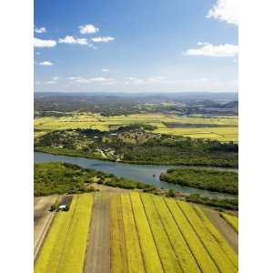 Maroochy River and Sugarcane Fields, Sunshine Coast, Queensland 