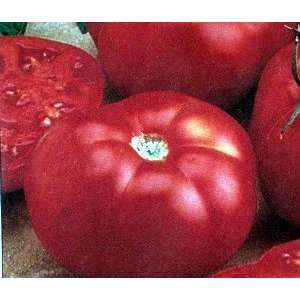  Beefmaster Tomato 45 Seeds  Excellent Slicer Patio, Lawn 