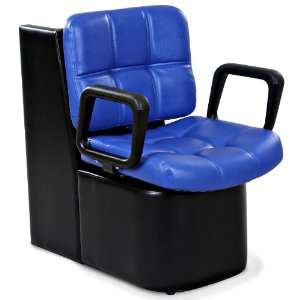  Hayworth Blue Dryer Chair Beauty