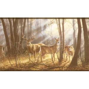  Deer Forest Scene Wallpaper Border
